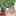 zdravavolga.ru favicon