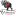 zelbelissimo.ru favicon