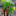 zeleniyceh.ru favicon