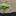 zemlya-dostavka.ru favicon