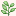 zhivotvori.ru favicon