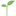 zkelysium.ru favicon