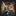 zzda.ru favicon