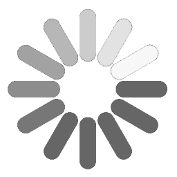 spin.js.png